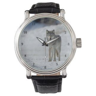 Beautiful Wildlife Wrist Watch