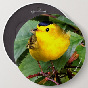Beautiful Wilson's Warbler in the Cherry Tree 6 Cm Round Badge
