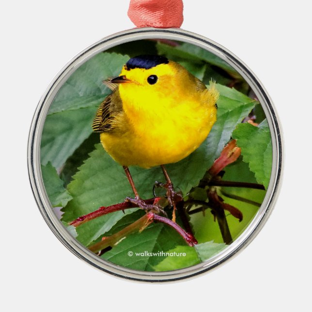 Beautiful Wilson's Warbler in the Cherry Tree Metal Tree Decoration (Front)