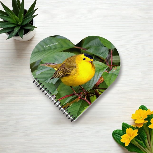 Beautiful Wilson's Warbler in the Cherry Tree Notebook (Beautiful Wilson's Warbler on the Branch Journal Cover Photo)