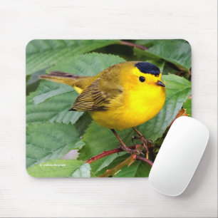 Beautiful Wilson's Warbler Songbird in Cherry Tree Mouse Mat