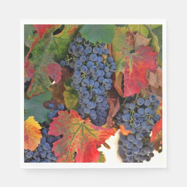Beautiful Wine Themed Fall Vineyard Napkin (Front)