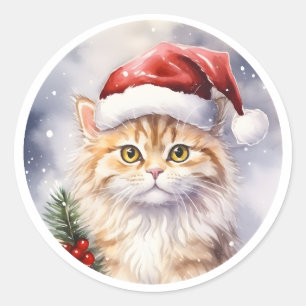 Beautiful Winter Christmas Cat In Santa Hat Classic Round Sticker