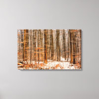 Beautiful Winter Forest with Snow