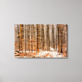 Beautiful Winter Forest with Snow Canvas Print