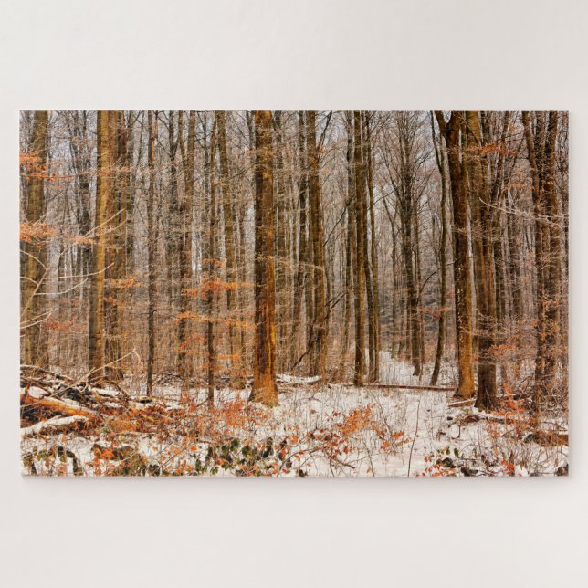 Beautiful Winter Forest with Snow Jigsaw Puzzle (Horizontal)