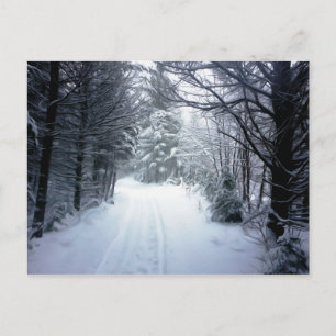 Beautiful winter landscape postcard