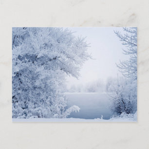 Beautiful winter landscape postcard