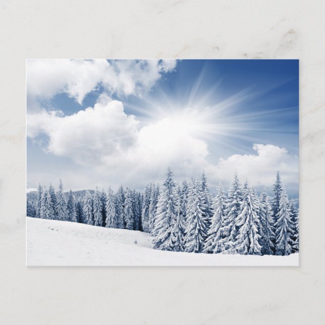 Beautiful Winter Landscape With Snow Postcard (Front)