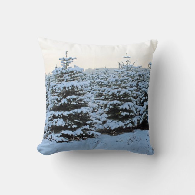 Beautiful Winter Pillow! Cushion (Front)