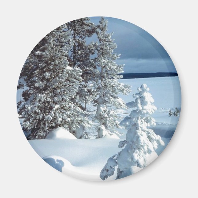 Beautiful Winter Scene Magnet (Front)