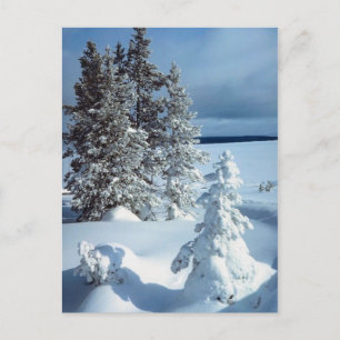 Beautiful Winter Scene Postcard