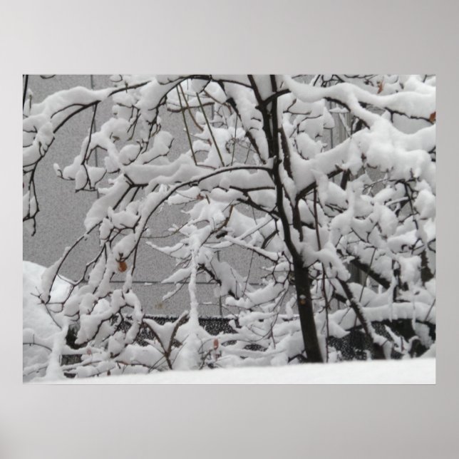 Beautiful Winter Scene Poster (Front)