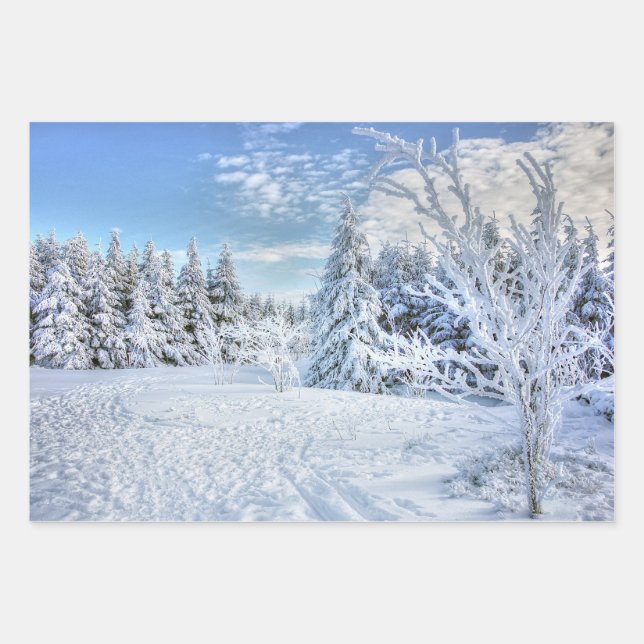 Beautiful Winter Snow Forest Scene    Wrapping Paper Sheet (Front)