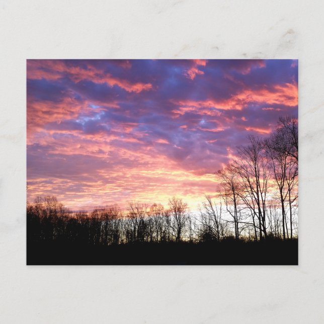 Beautiful Winter Sunrise Postcard (Front)