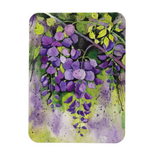 Beautiful Wisteria Flowers In Watercolor  Magnet