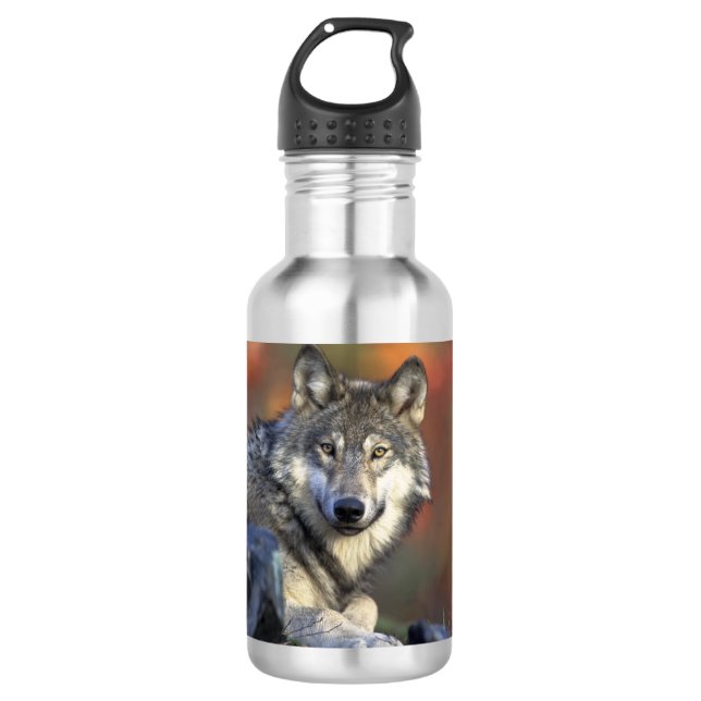 Beautiful Wolf 710 Ml Water Bottle (Front)