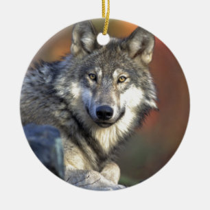 Beautiful Wolf Ceramic Tree Decoration