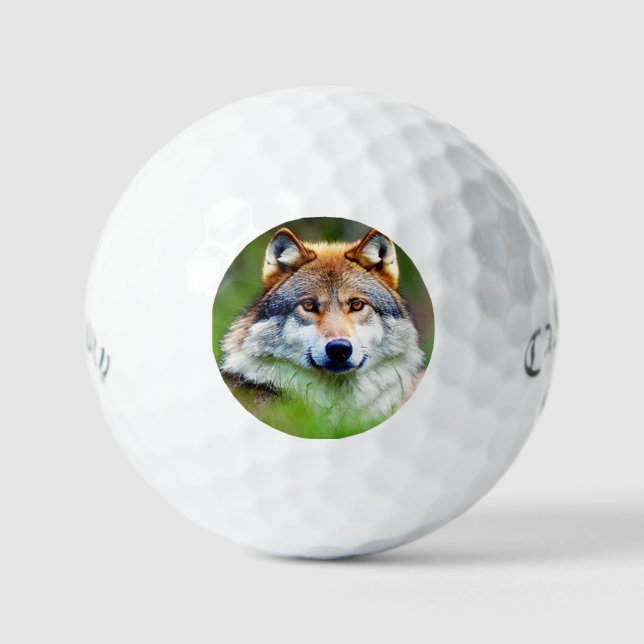 Beautiful Wolf head Painting  Golf Balls (Front)