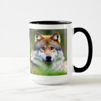 Beautiful Wolf head Painting 