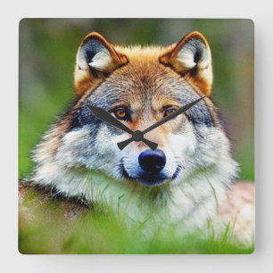 Beautiful Wolf head Painting  Square Wall Clock