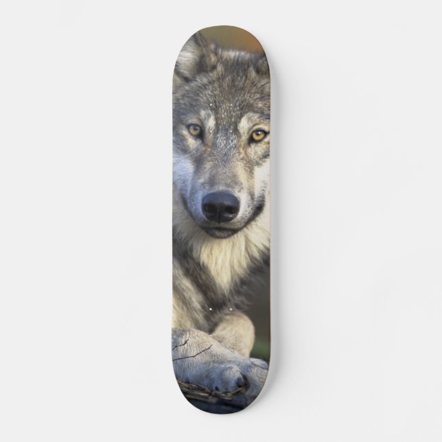 Beautiful Wolf Skateboard (Front)