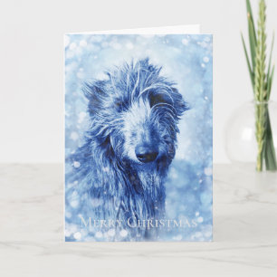 Beautiful Wolfhound Deerhound Christmas Card