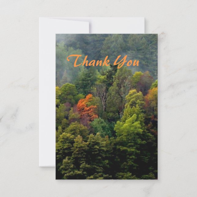 Beautiful Woodland Trees Thank You Card (Front)