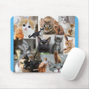 Beautiful World of Cats and Kittens Mouse Mat