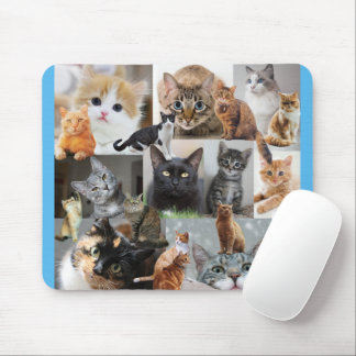 Beautiful World of Cats and Kittens Mouse Mat