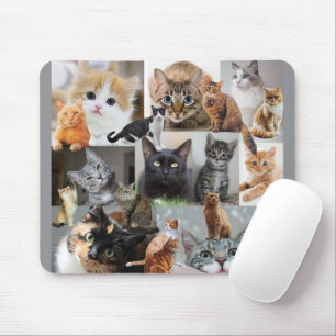 Beautiful World of Cats and Kittens Mouse Mat