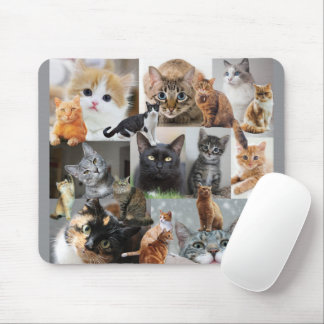 Beautiful World of Cats and Kittens Mouse Mat