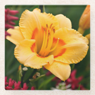 Beautiful Yellow and Orange Lily Flower Glass Coaster