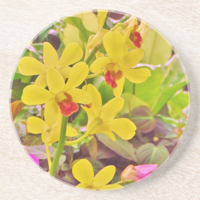 Beautiful Yellow autumn orchids Coaster (Front)