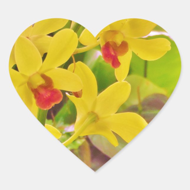 Beautiful Yellow autumn orchids Heart Sticker (Front)