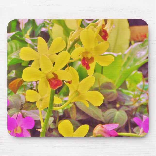Beautiful Yellow autumn orchids Mouse Mat (Front)