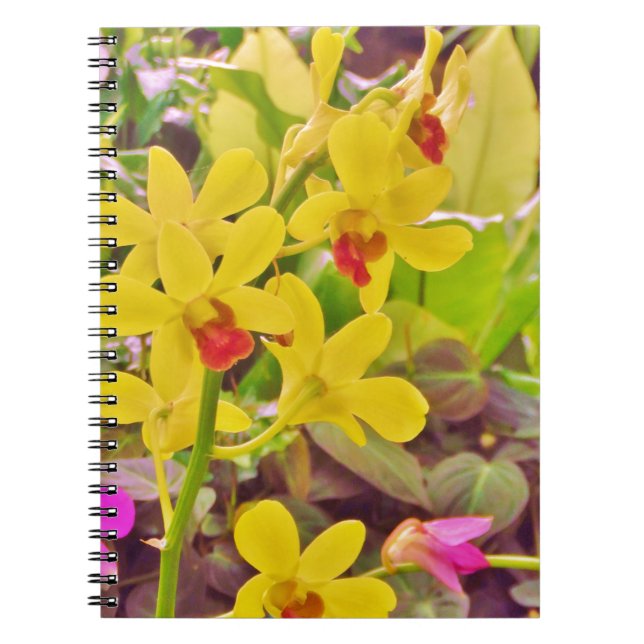 Beautiful Yellow autumn orchids Notebook (Front)