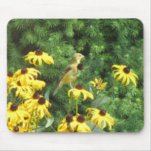 Beautiful Yellow Bird Mouse Pad