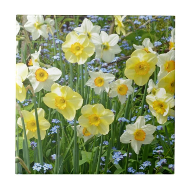 Beautiful yellow daffodil garden tile (Front)