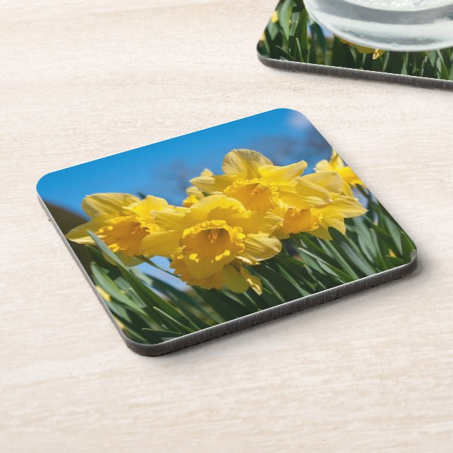 Beautiful Yellow Daffodils Coaster (Left Side)