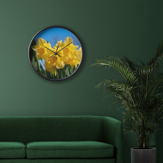 Beautiful Yellow Daffodils in Spring Clock (Creator Uploaded)