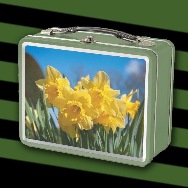 Beautiful Yellow Daffodils Metal Lunch Box (Creator Uploaded)
