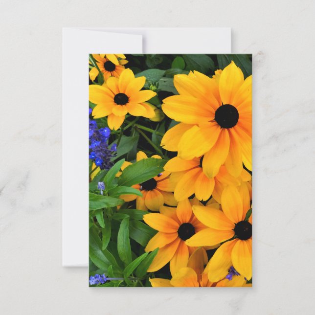 Beautiful Yellow Daisy Photo Card (Front)
