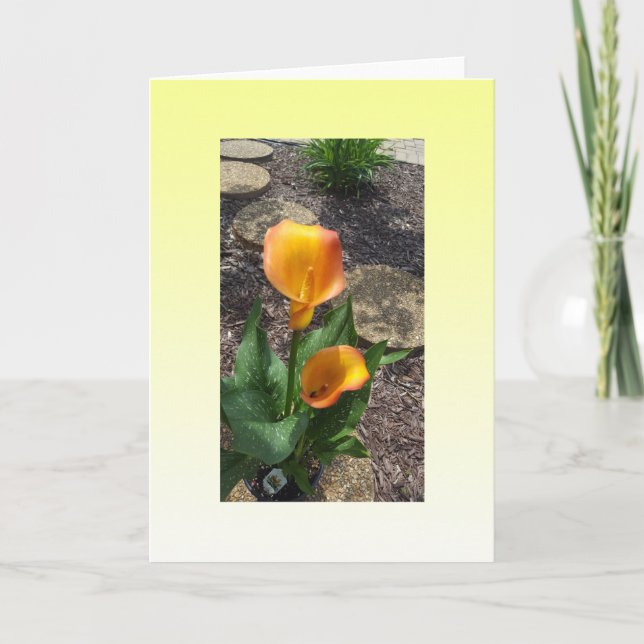 Beautiful  Yellow Flowers Blank Card (Front)