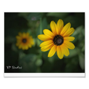 Beautiful yellow flowers! photo print