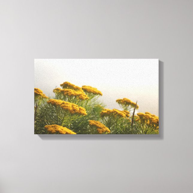 Beautiful Yellow Flowers Stretched Canvas Print (Front)