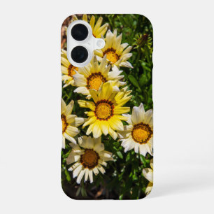 Beautiful yellow Gazania flowers in the garden iPhone 16 Case