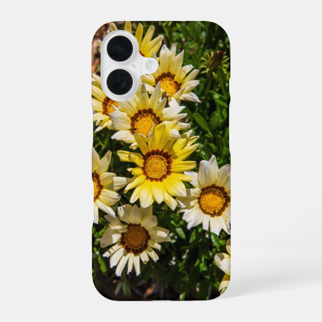 Beautiful yellow Gazania flowers in the garden iPhone 16 Case (Back)