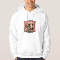Beautiful Yellow Labrador Retriever Dog,Cool