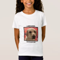 Beautiful Yellow Labrador Retriever Dog,Cool